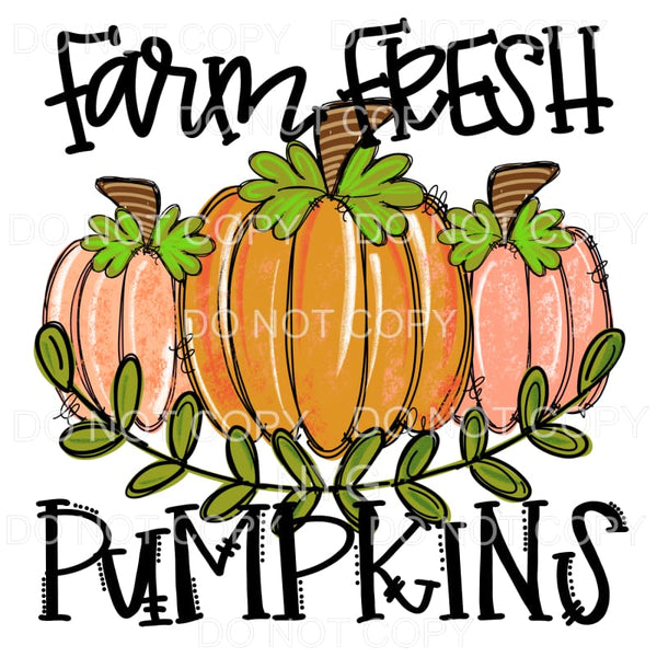 Farm Fresh Pumpkins Trio Orange #749 Sublimation transfers -