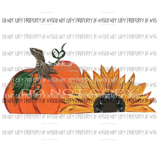 Pumpkin and Sunflower Sublimation transfers Heat Transfer
