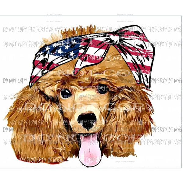 Brown Poodle American Flag headband watercolor Sublimation transfers Heat Transfer