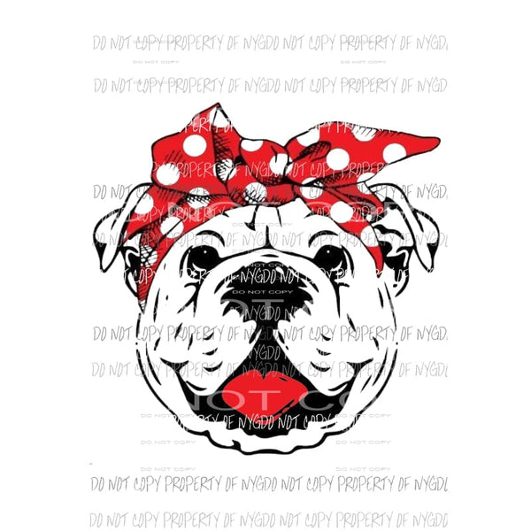 Bull dog with red tongue and Bandanna Sublimation transfers Heat Transfer