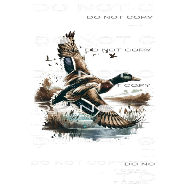 flying duck # 6722 Sublimation transfers - Heat Transfer