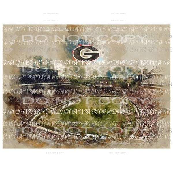 Georgia Stadium Sublimation transfers Heat Transfer