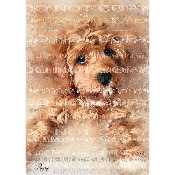 Golden Doodle dog portrait Sublimation transfers Heat Transfer
