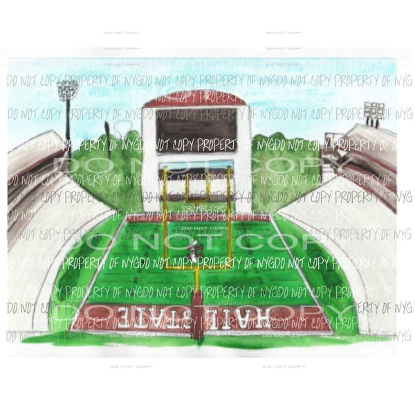 Hail state Stadium Sublimation transfers Heat Transfer