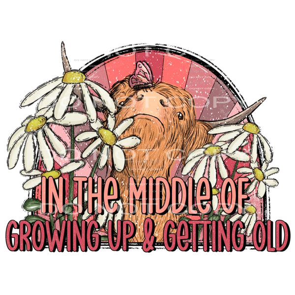 In the middle of growing up and getting old # 817