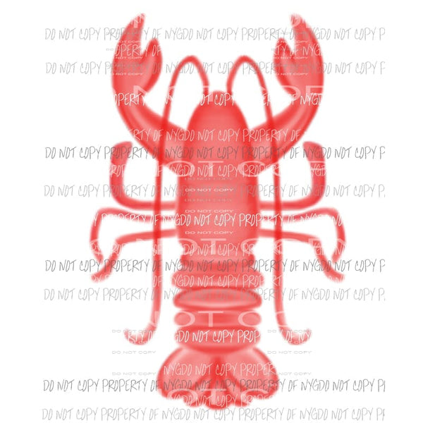 lobster Sublimation transfers Heat Transfer