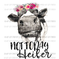 not today heifer cow # 2 Sublimation transfers Heat Transfer
