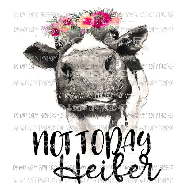 not today heifer cow # 2 Sublimation transfers Heat Transfer