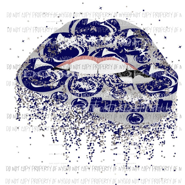 penn state lips Sublimation transfers Heat Transfer