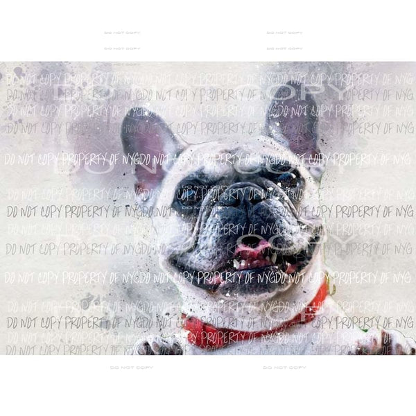 Pug dog portrait # 1 Sublimation transfers Heat Transfer