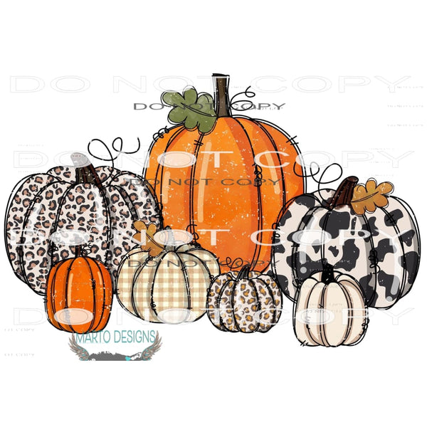 Pumpkin #6807 Sublimation transfers - Heat Transfer Graphic