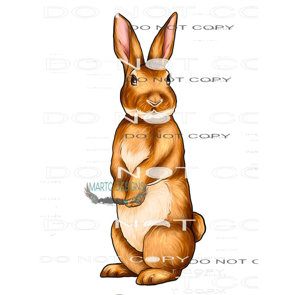 Rabbit #8916 Sublimation transfers - Heat Transfer Graphic