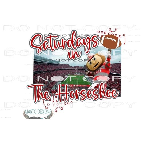 saturdays in the horseshoe Ohio State # 4502Sublimation