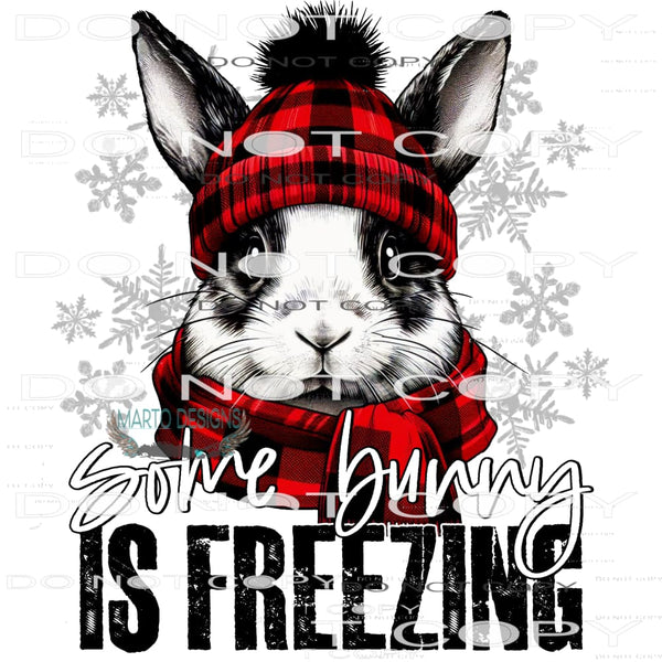 Some Bunny Is Freezing #9234 Sublimation transfers - Heat