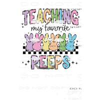 teaching my favorite peeps # 3125 Sublimation transfers -