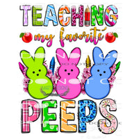 Teaching My Favorite Peeps #8945 Sublimation transfers -