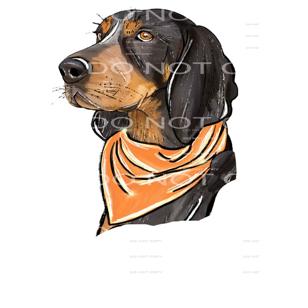 vols Dog tennessee # 89911 Sublimation transfers - Heat
