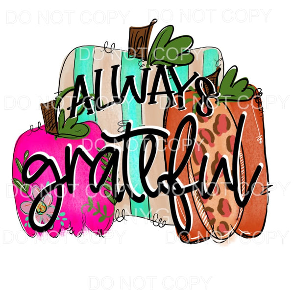 Always Grateful Pink Striped Leopard Pumpkin Trio Flowers 