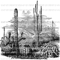 Cactus Black Sublimation transfers Heat Transfer