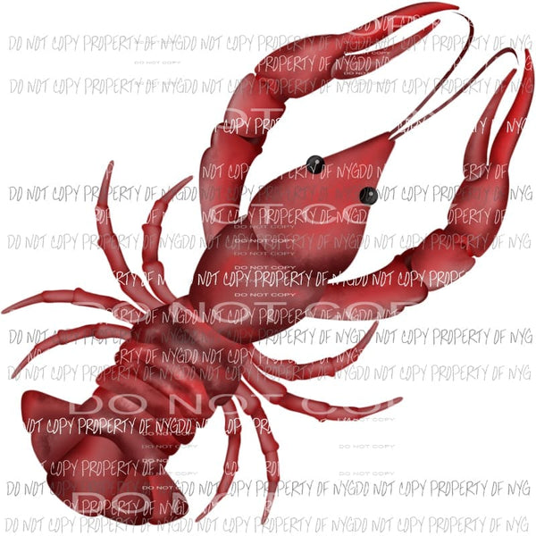 Crawling Crawfish Sublimation transfers Heat Transfer