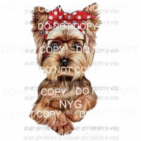 dog with glasses Sublimation transfers Heat Transfer
