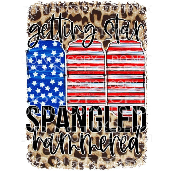 Getting Star Spangled and Hammered Leopard 4th of July USA 