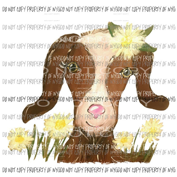 Goat Daisy Flowers Sublimation transfers Heat Transfer