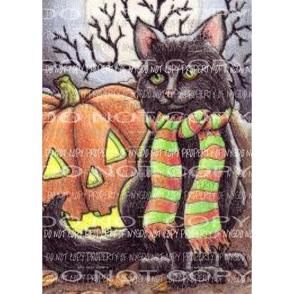 Halloween Black Cat Pumpkin # 2 Sublimation transfers Heat Transfer