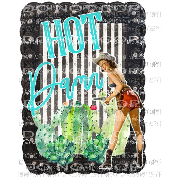 Hot Damn vintage poster pinup cowgirl cactus Sublimation transfers Heat Transfer