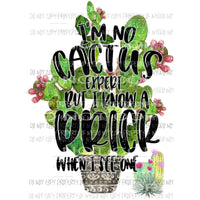 Im no cactus expert #4 Sublimation transfers Heat Transfer