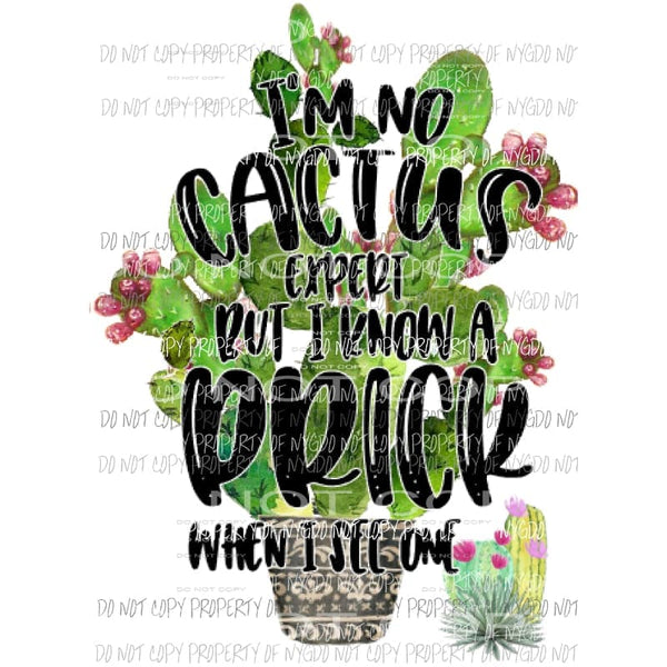 Im no cactus expert #4 Sublimation transfers Heat Transfer