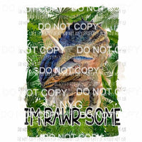Im Rawr-Some dinosaur Sublimation transfers Heat Transfer