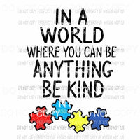 In A World Where You Can Be Anything Be Kind autism Sublimation transfers Heat Transfer