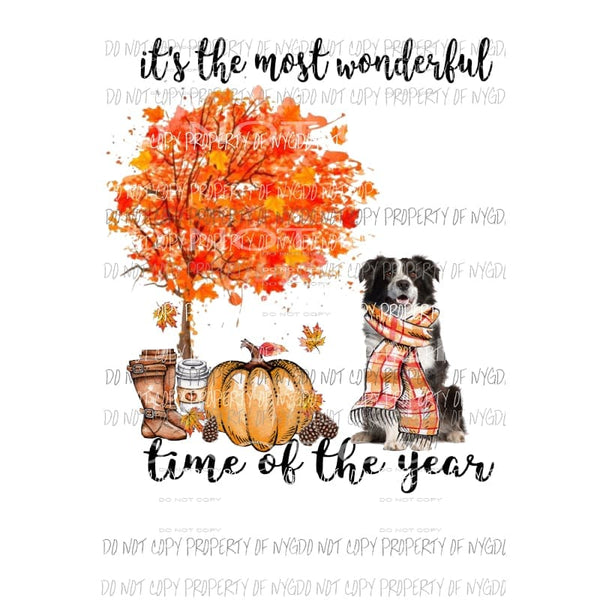 Its the most wonderful time of the year Border Collie 2 Fall Dog Sublimation transfers Heat Transfer