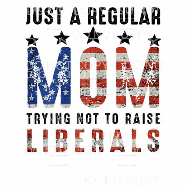 Copy of Just a Regular mom trying not to raise Liberals FLAG