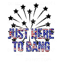 Just Here To Bang Fireworks 4th of July #2 Sublimation 