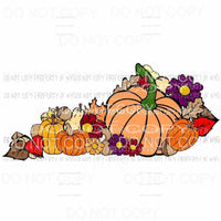 Kentucky Fall pumpkins Sublimation transfers Heat Transfer