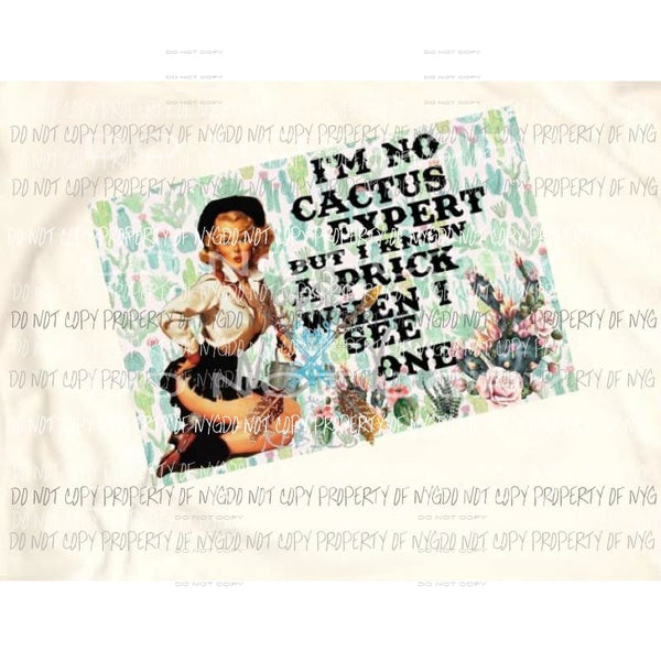 No cactus expert sublimation transfer Heat Transfer