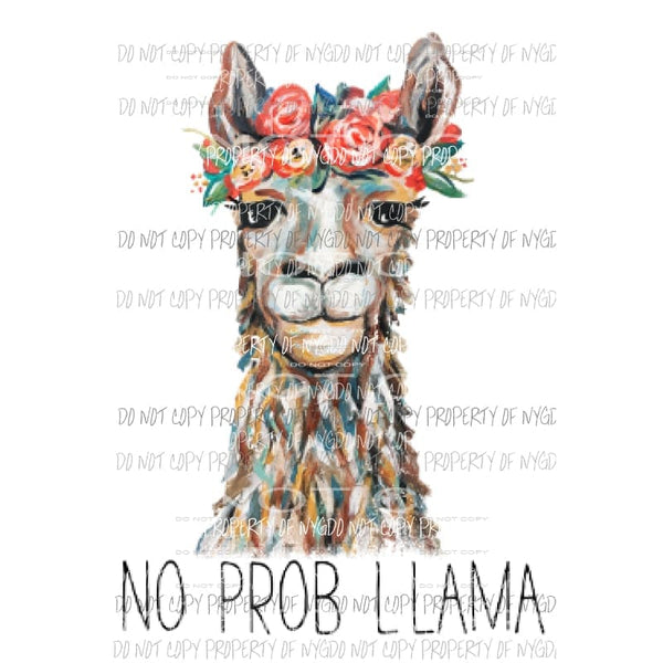 No Prob Llama Sublimation transfers Heat Transfer