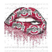 Ohio state lips Sublimation transfers Heat Transfer