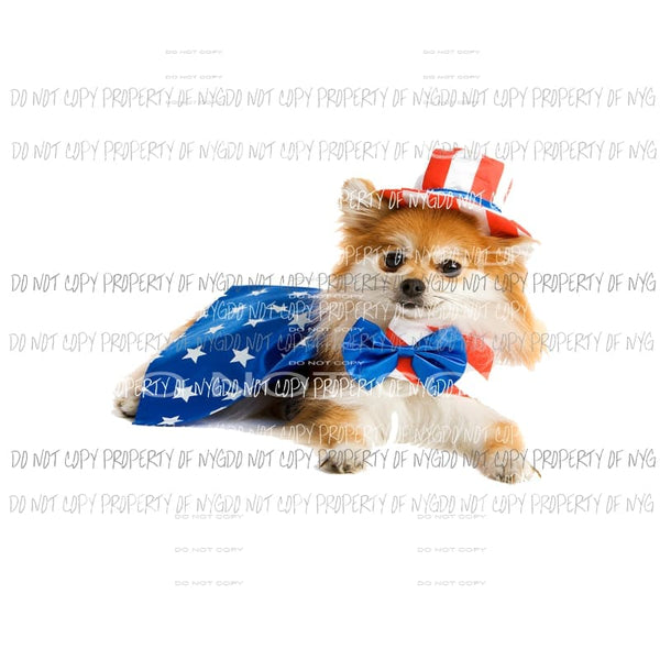 Pomeranian Pup america Sublimation transfers Heat Transfer