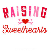 Raising Sweethearts Vintage Red Pink Valentines Day #2279 