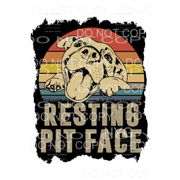 Resting Pit Face Retro Pitbull Dog Sublimation transfers - 