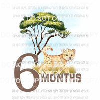 Safari 6 Months cheetah Sublimation transfers Heat Transfer