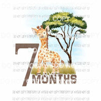 Safari 7 Months giraffe Sublimation transfers Heat Transfer