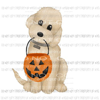 trick or treat dog Sublimation transfers Heat Transfer