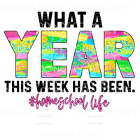 What A Year This Week Has Been Homeschool Life Colorful 